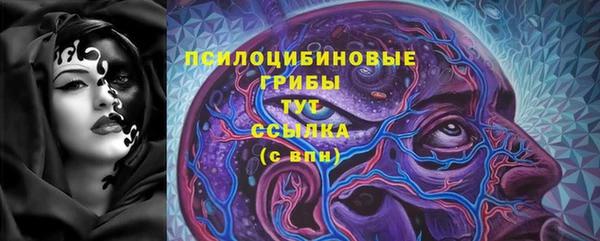 твердый Алексин