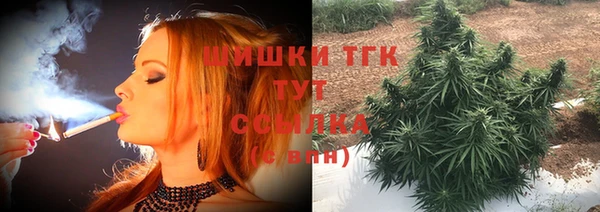 твердый Алексин