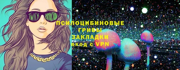 твердый Алексин