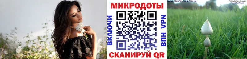 Галлюциногенные грибы мицелий  Лесной 