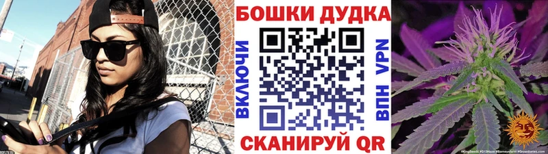 Бошки Шишки план  Лесной 